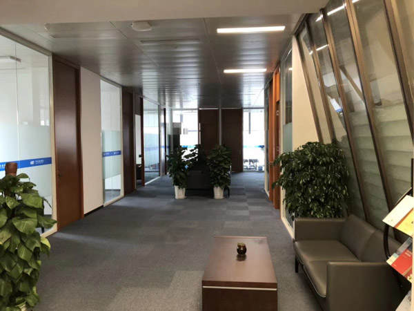 深圳專業律師事務所來講講損害了公司及小股東的合法權益如何處理