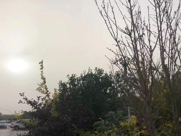 深圳著名的律師來講講掛靠車輛發生交通事故責任應該由誰承擔