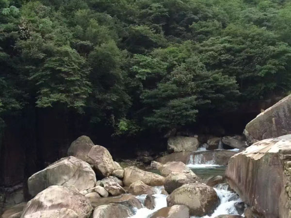 行政訴訟流程：深圳法律咨詢網(wǎng)來講講如何保護(hù)你的合法權(quán)益